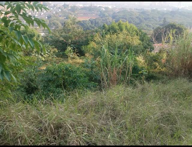 915M² VACANT LAND FOR SALE IN BLUFF